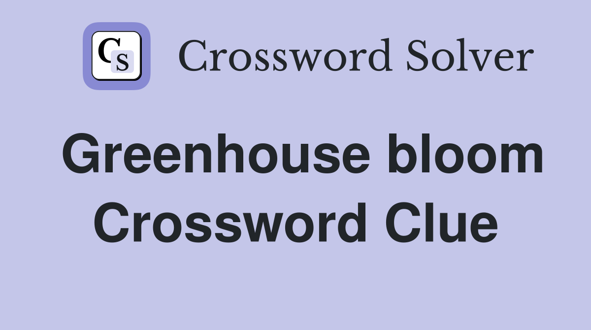 Greenhouse bloom Crossword Clue