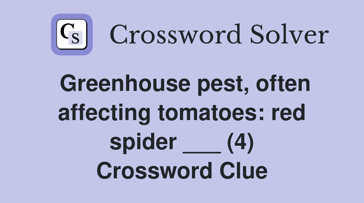 Greenhouse pest, often affecting tomatoes: red spider ___ (4) Crossword Clue