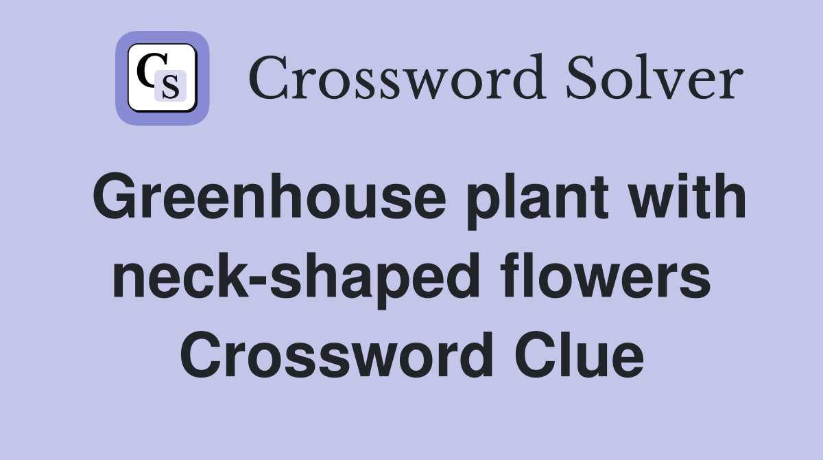 Greenhouse plant with neck-shaped flowers Crossword Clue