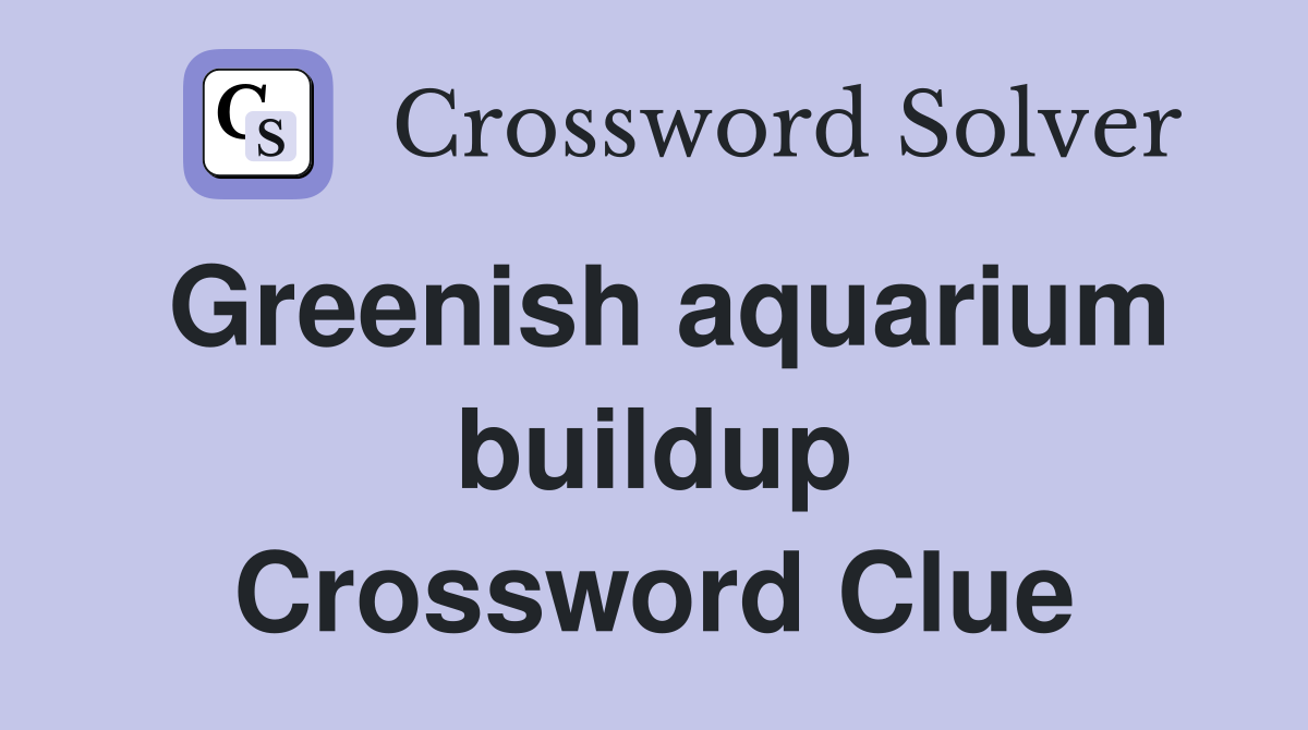 Greenish aquarium buildup Crossword Clue