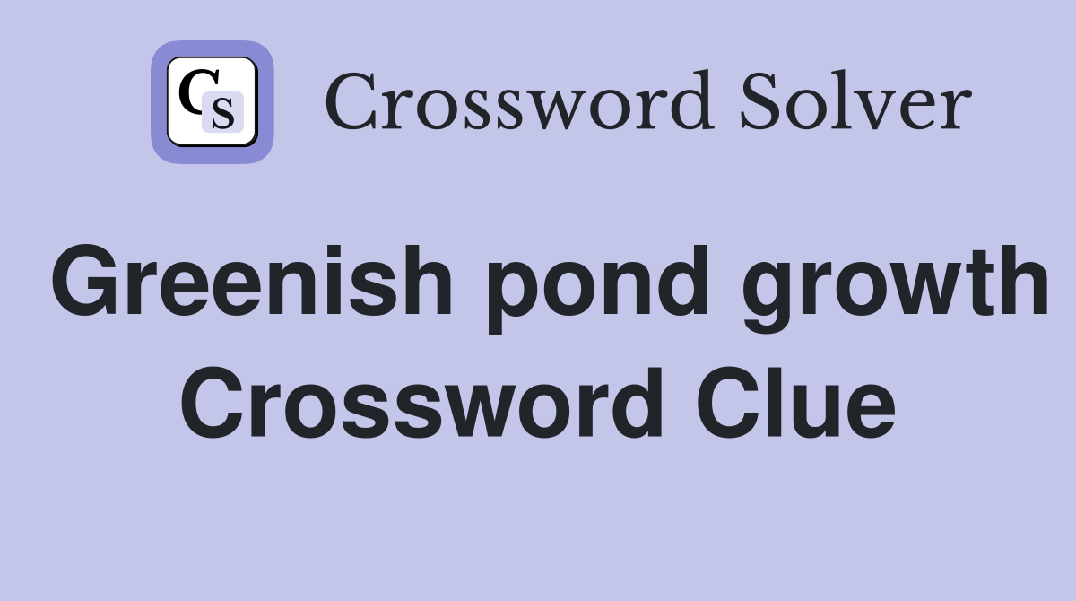 Greenish pond growth Crossword Clue