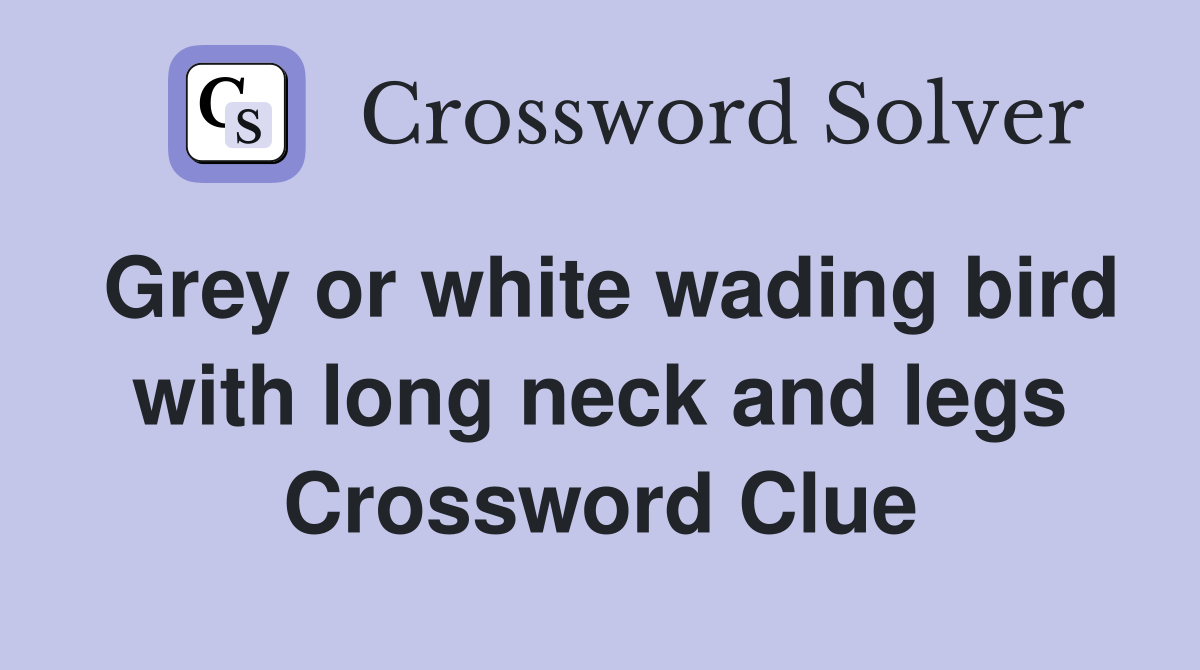 Grey or white wading bird with long neck and legs Crossword Clue