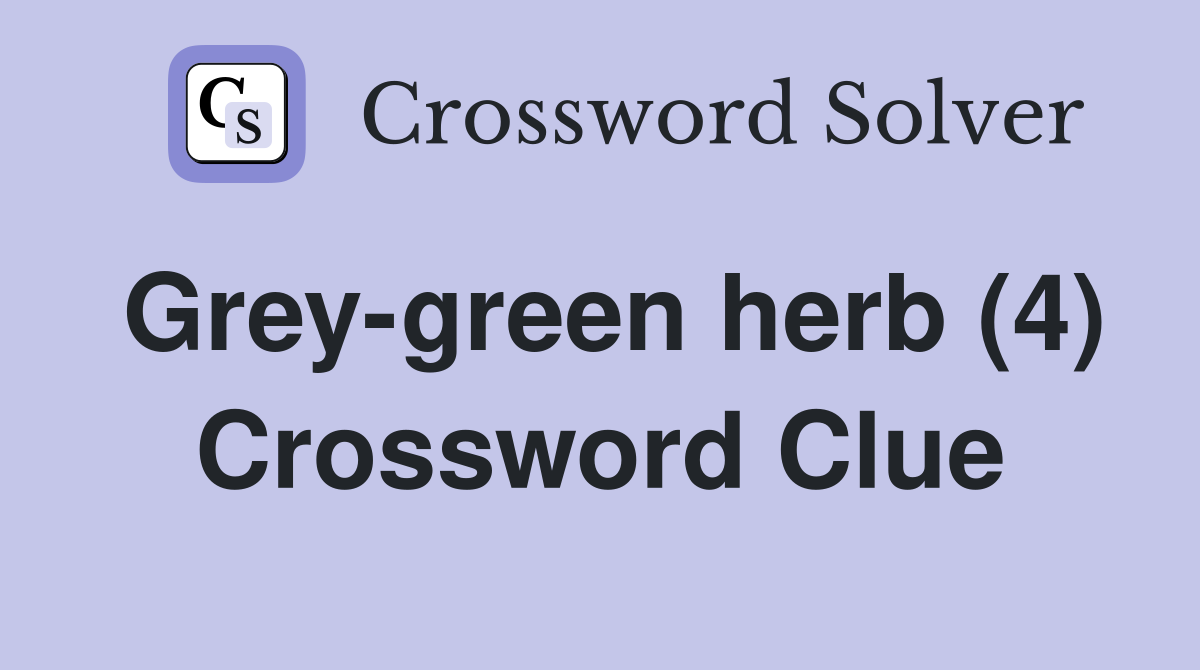 Grey-green herb (4) Crossword Clue