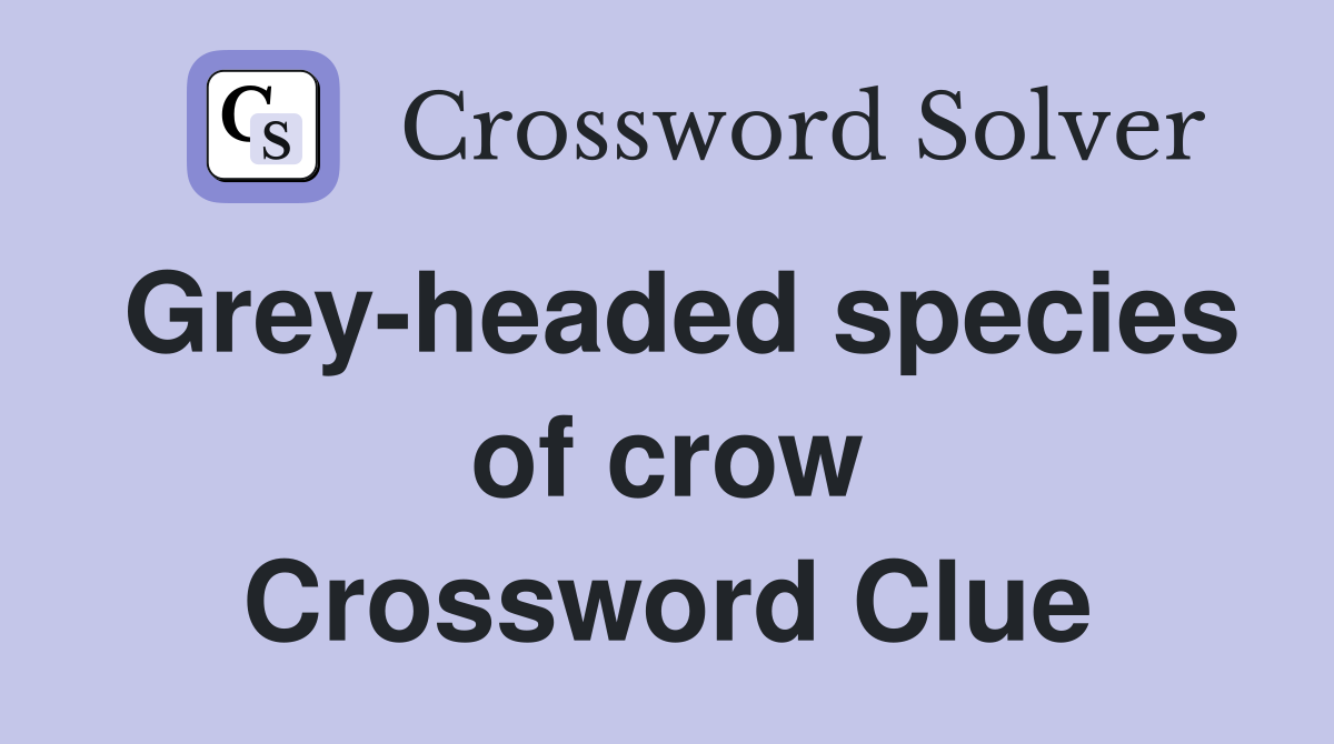 Grey-headed species of crow Crossword Clue