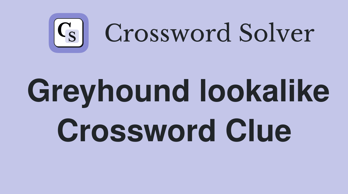 Greyhound lookalike Crossword Clue