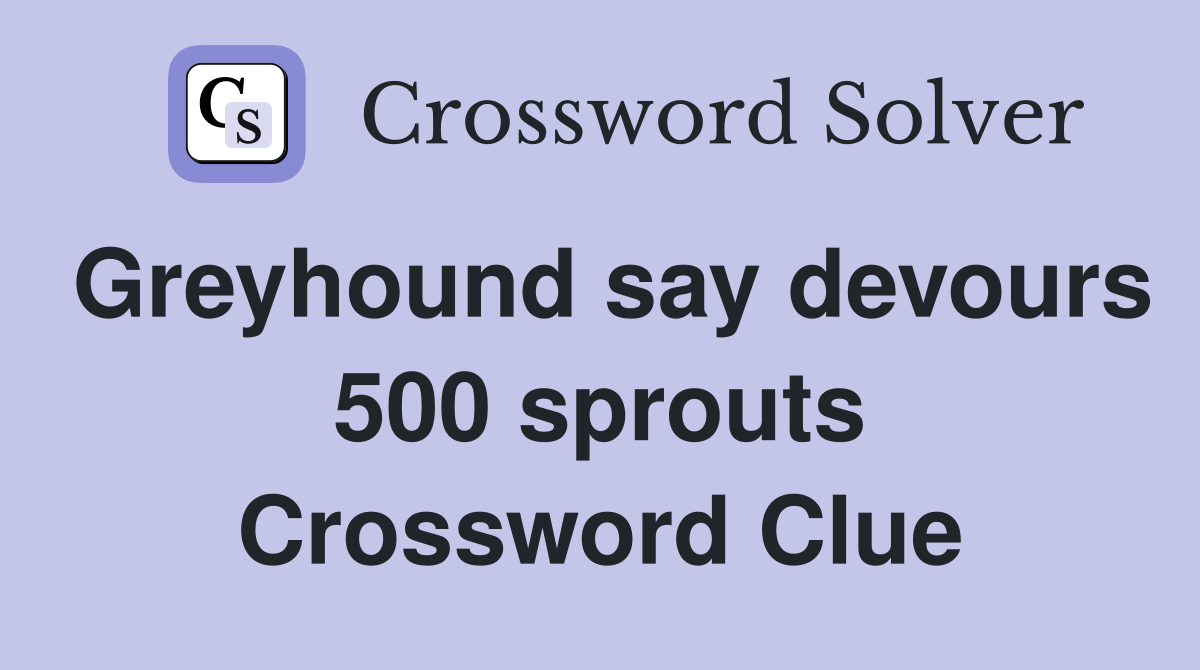 Greyhound say devours 500 sprouts Crossword Clue