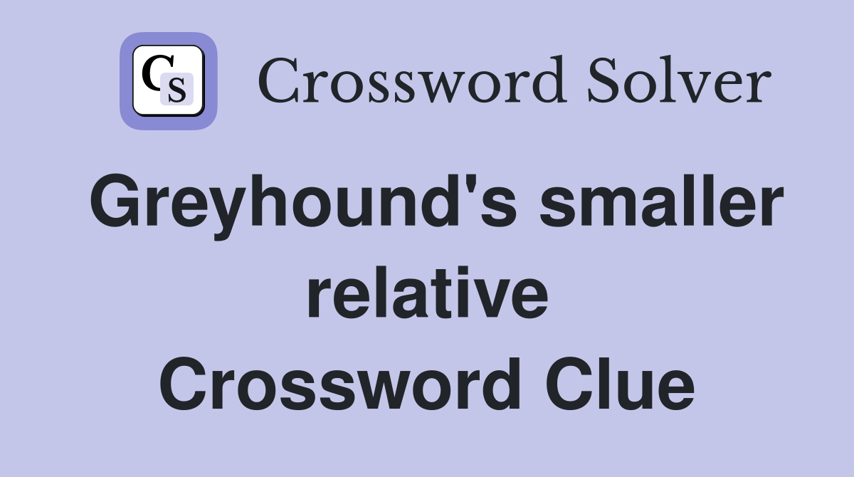 Greyhound's smaller relative Crossword Clue