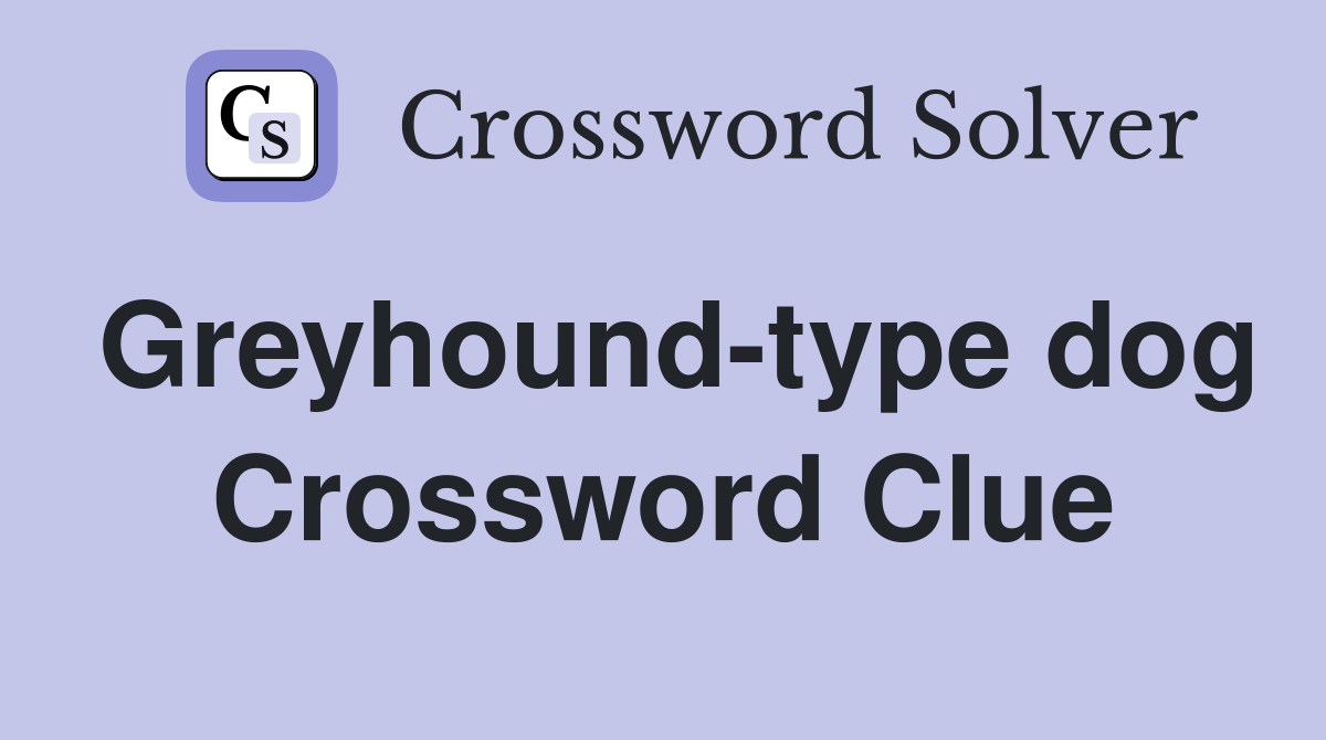 Greyhound-type dog Crossword Clue