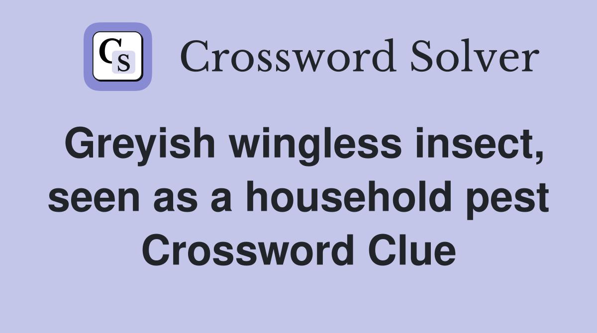 Greyish wingless insect, seen as a household pest Crossword Clue