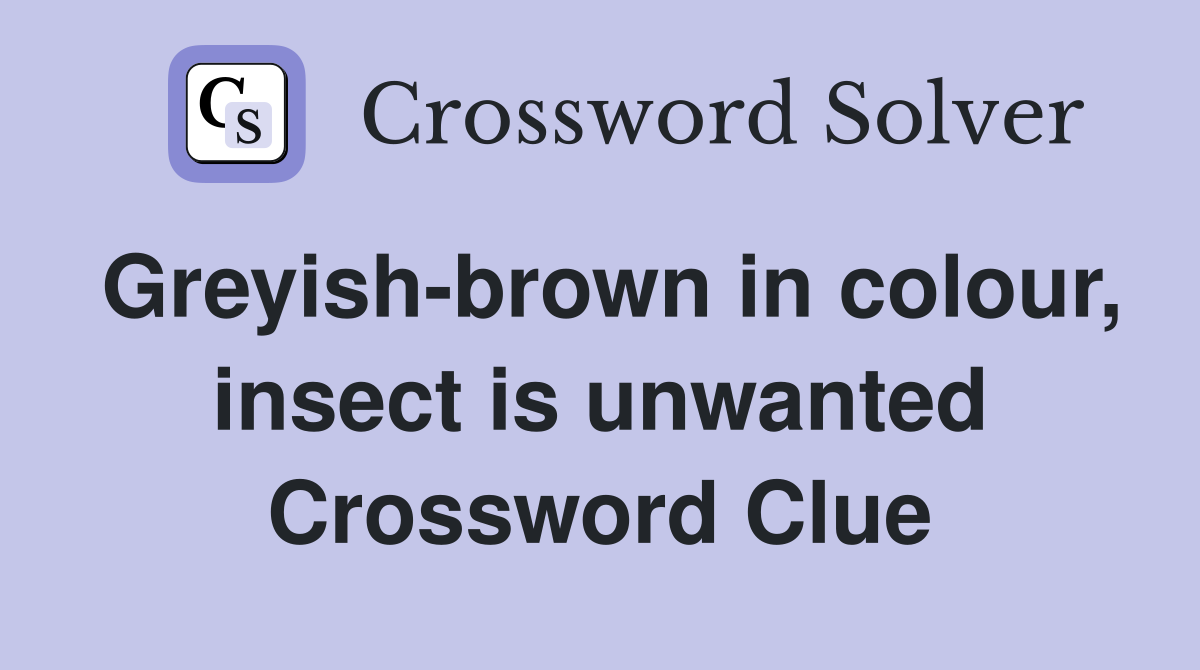Greyish-brown in colour, insect is unwanted Crossword Clue