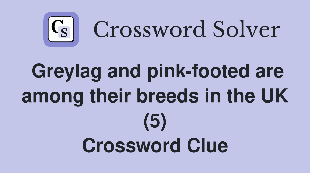 Greylag and pink-footed are among their breeds in the UK (5) Crossword Clue