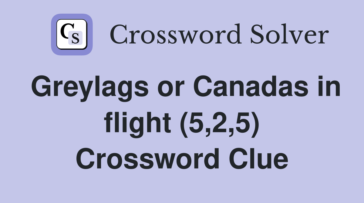 Greylags or Canadas in flight (5,2,5) Crossword Clue