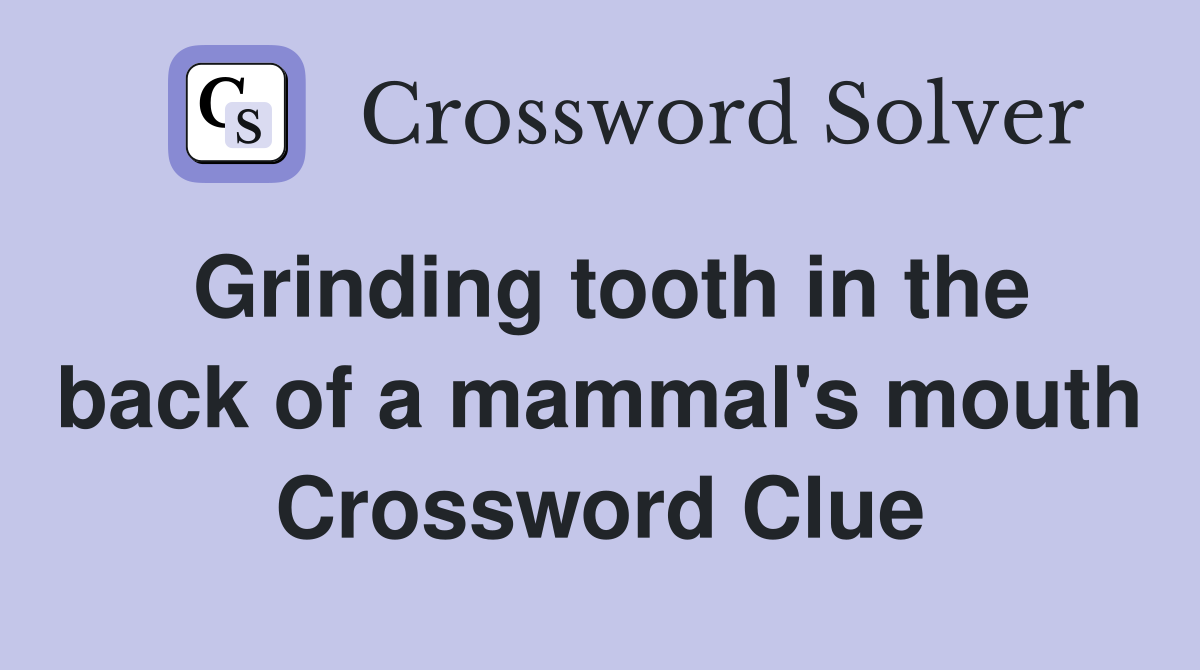 Grinding tooth in the back of a mammal's mouth Crossword Clue
