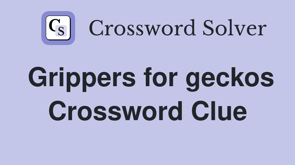 Grippers for geckos Crossword Clue