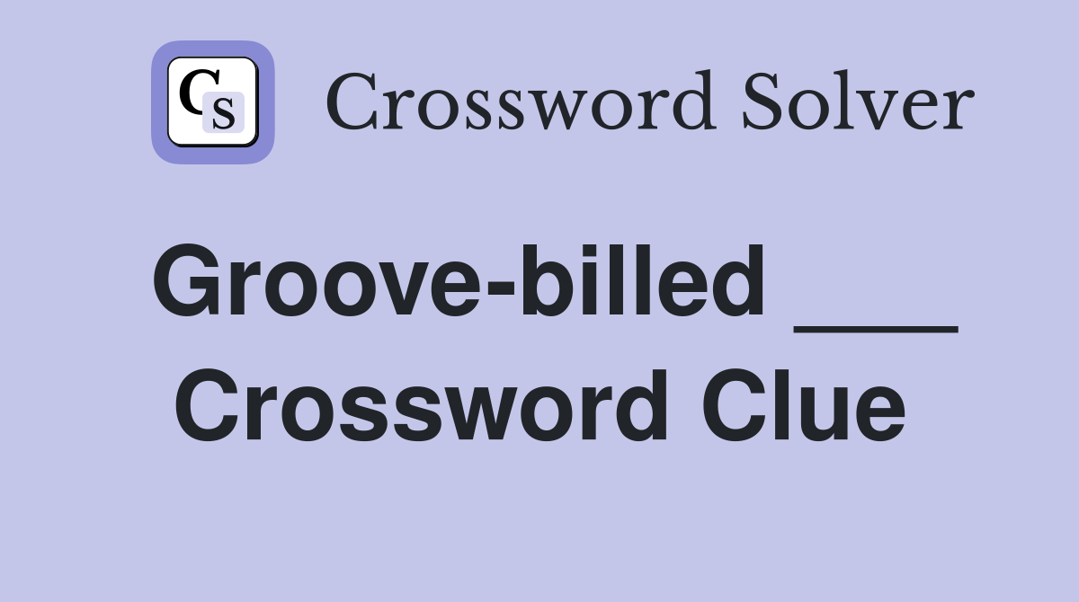 Groove-billed ___ Crossword Clue