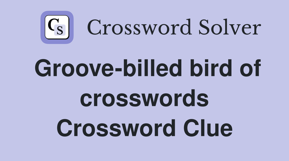 Groove-billed bird of crosswords Crossword Clue
