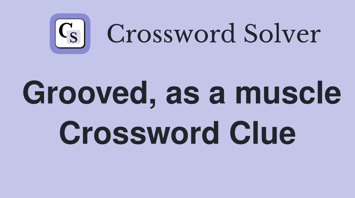 Grooved, as a muscle Crossword Clue