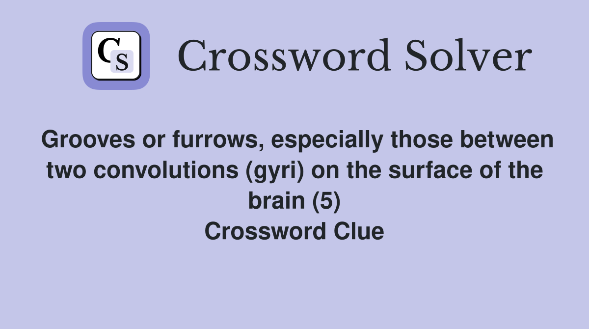 Grooves or furrows, especially those between two convolutions (gyri) on the surface of the brain (5) Crossword Clue