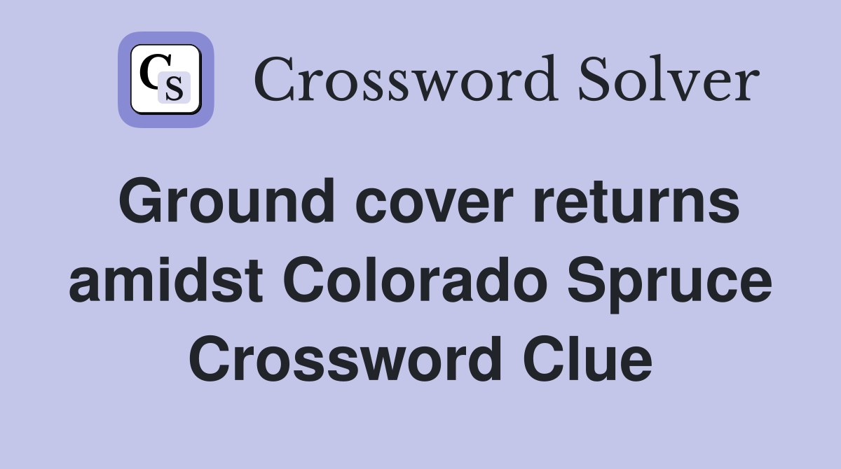 Ground cover returns amidst Colorado Spruce Crossword Clue