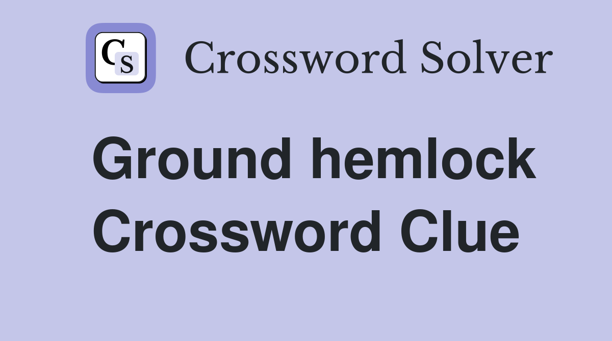 Ground hemlock Crossword Clue