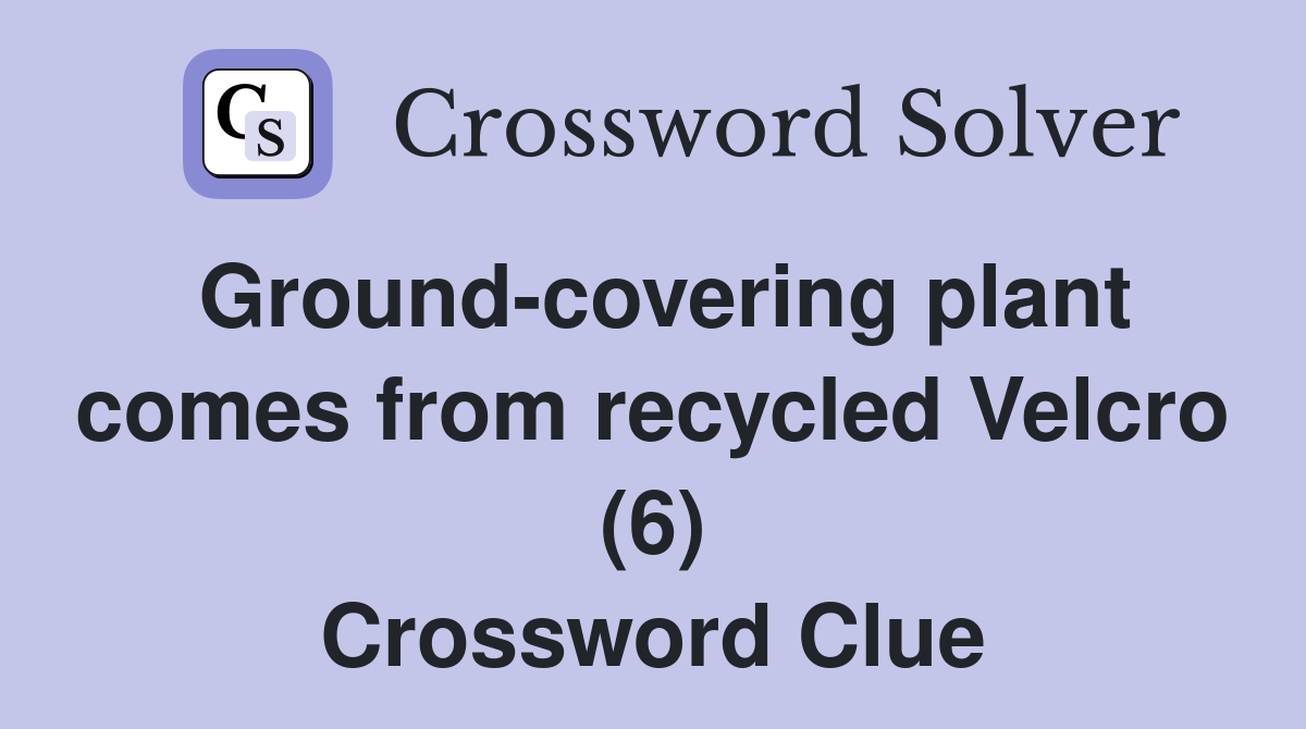 Ground-covering plant comes from recycled Velcro (6) Crossword Clue
