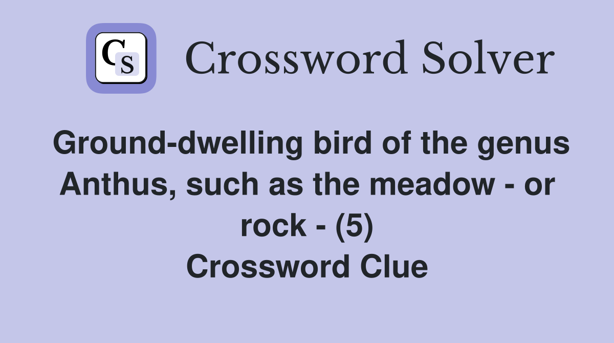 Ground-dwelling bird of the genus Anthus, such as the meadow - or rock - (5) Crossword Clue