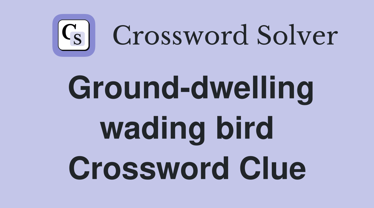 Ground-dwelling wading bird Crossword Clue