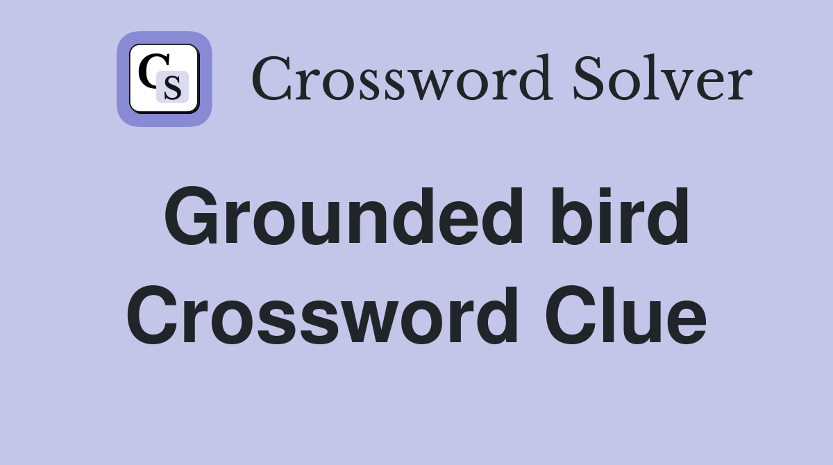 Grounded bird Crossword Clue