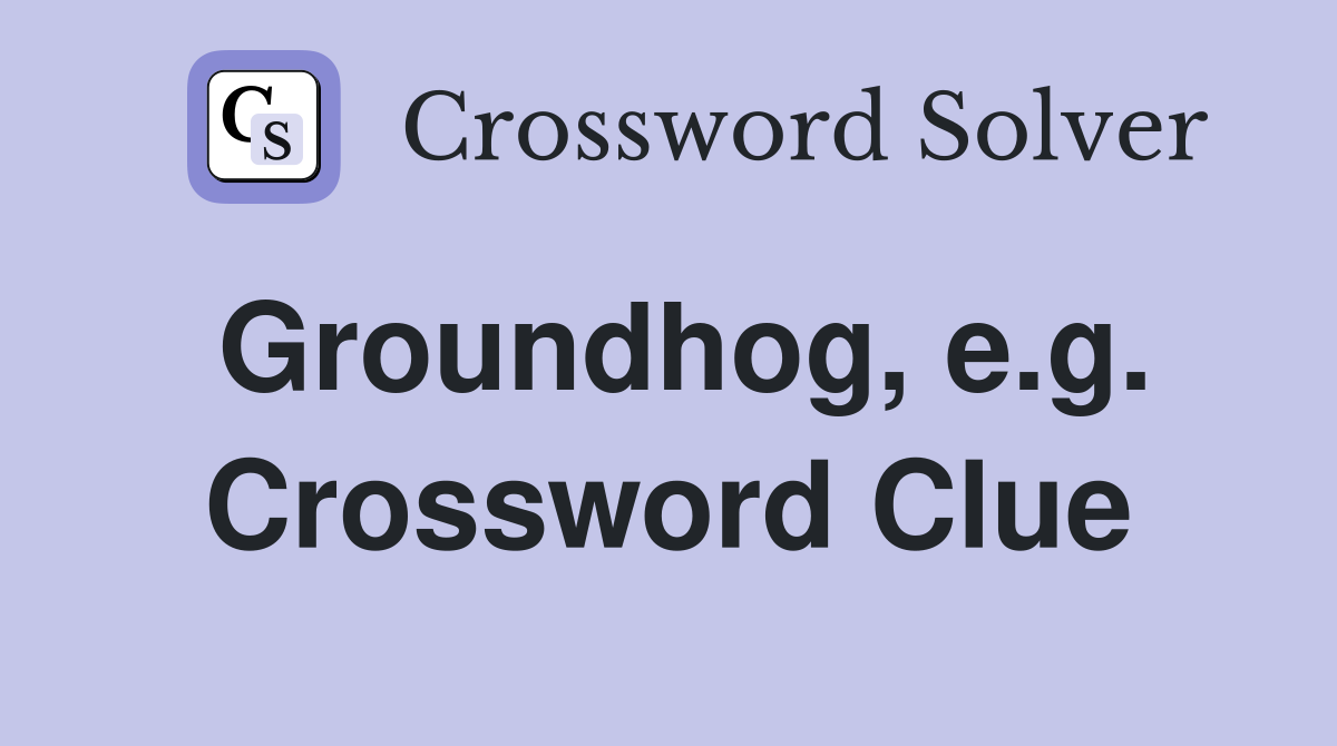 Groundhog, e.g. Crossword Clue