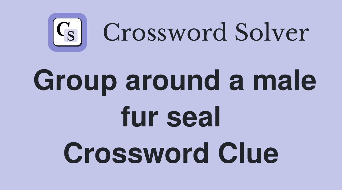 Group around a male fur seal Crossword Clue