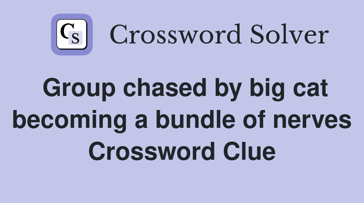 Group chased by big cat becoming a bundle of nerves Crossword Clue