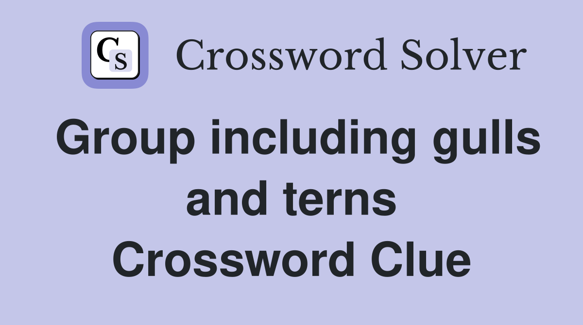Group including gulls and terns Crossword Clue