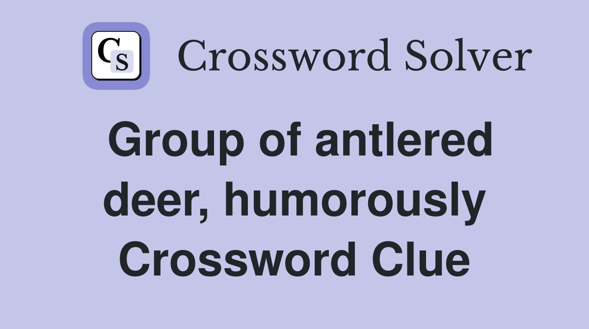 Group of antlered deer, humorously Crossword Clue