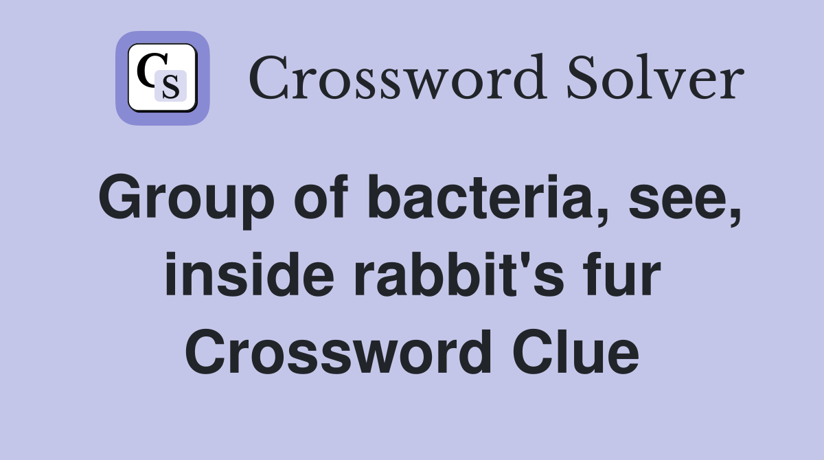 Group of bacteria, see, inside rabbit's fur Crossword Clue
