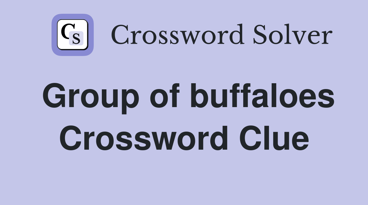 Group of buffaloes Crossword Clue
