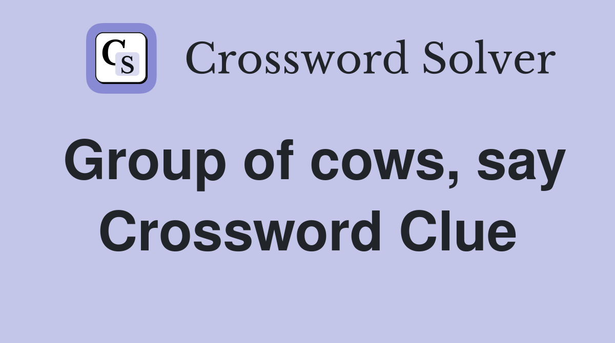 Group of cows, say Crossword Clue