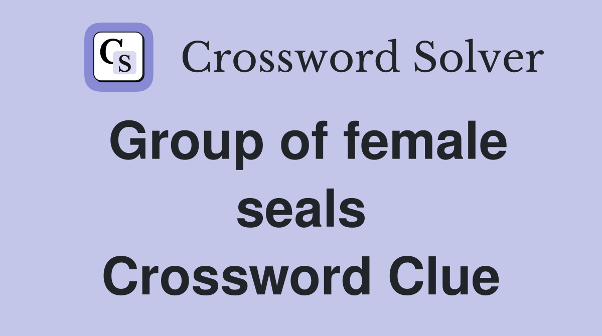 Group of female seals Crossword Clue