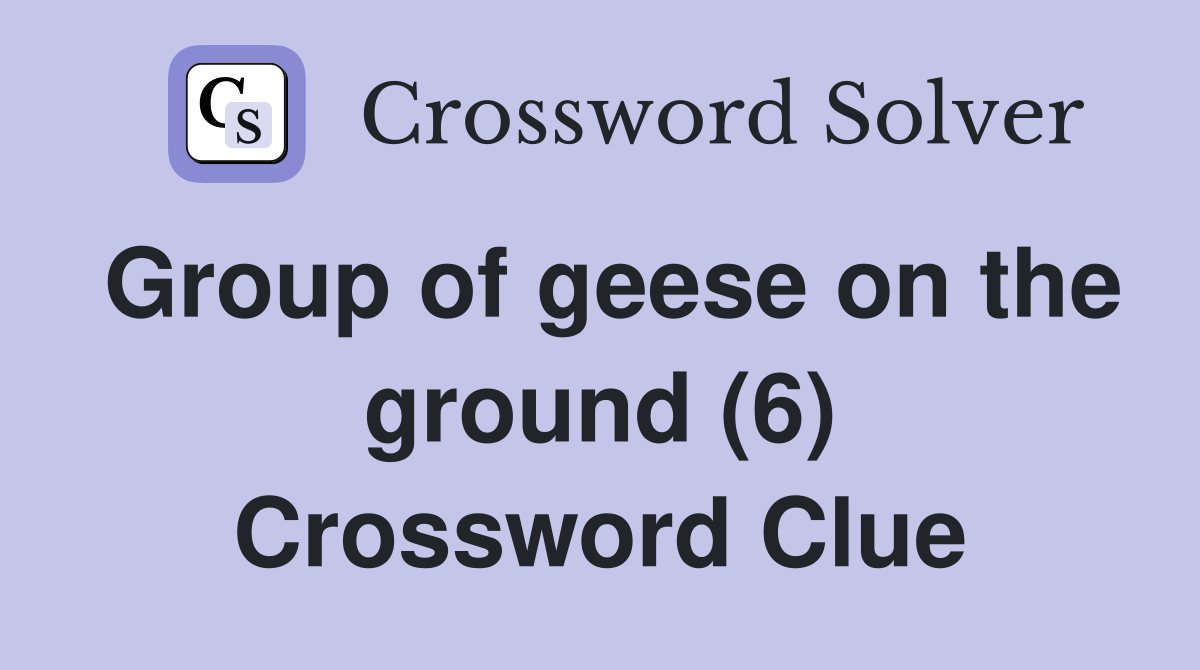 Group of geese on the ground (6) Crossword Clue