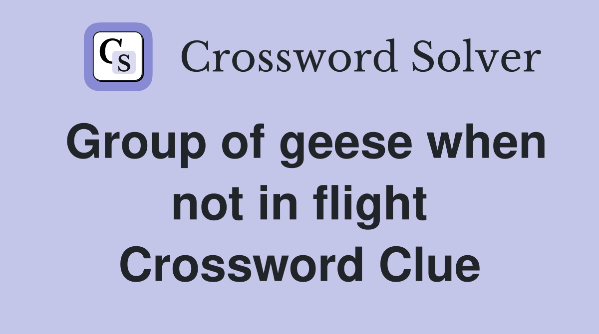 Group of geese when not in flight Crossword Clue