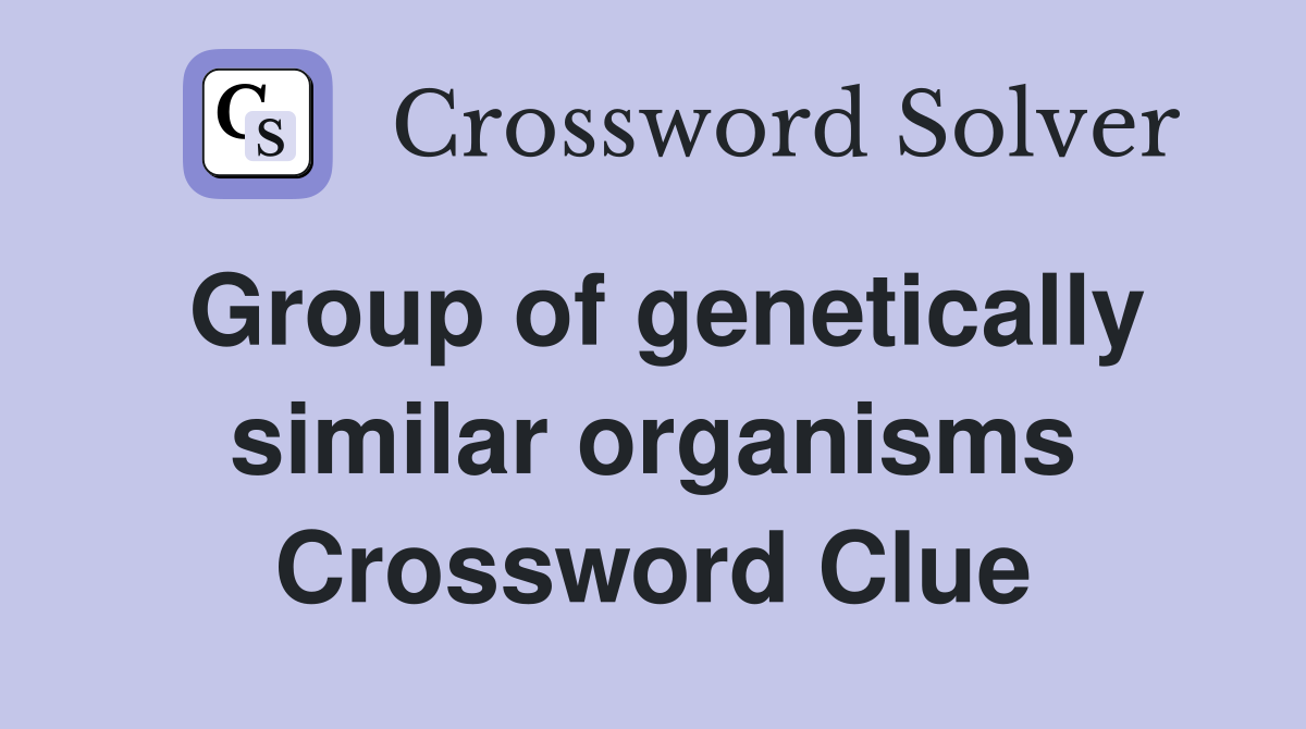 Group of genetically similar organisms Crossword Clue