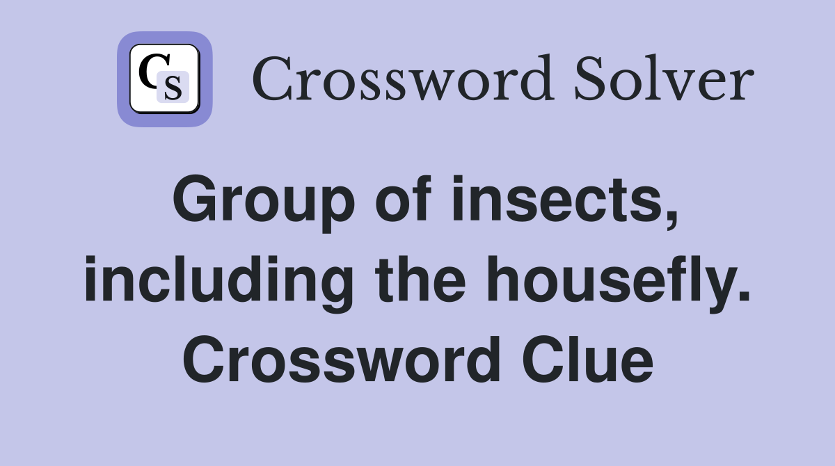 Group of insects, including the housefly. Crossword Clue