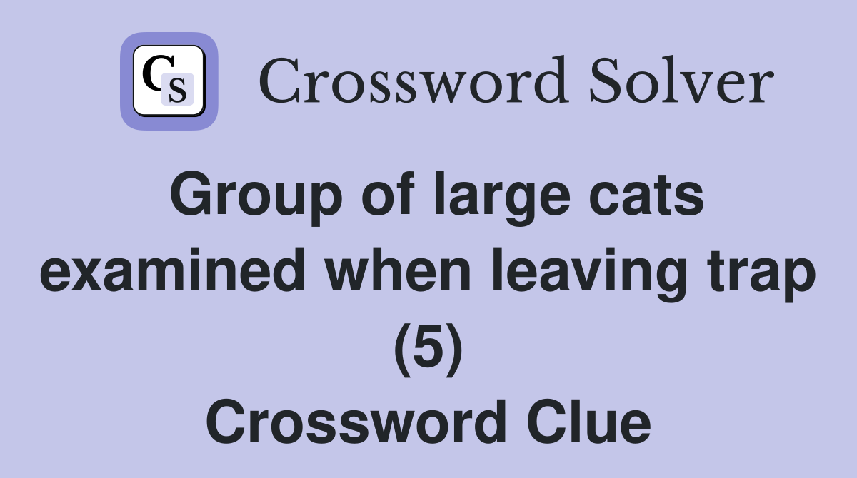 Group of large cats examined when leaving trap (5) Crossword Clue