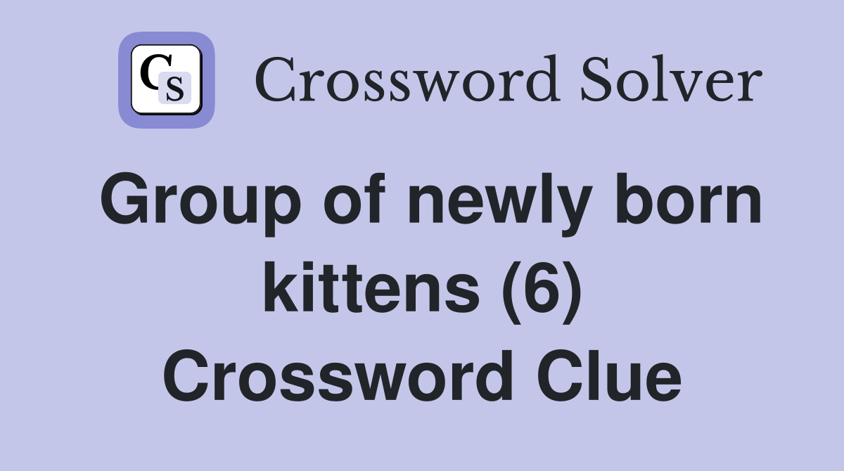 Group of newly born kittens (6) Crossword Clue