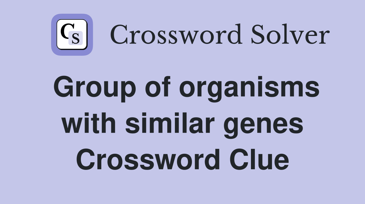 Group of organisms with similar genes Crossword Clue