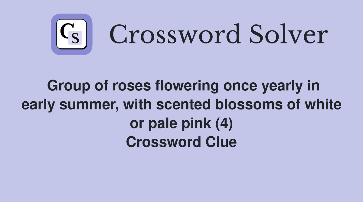 Group of roses flowering once yearly in early summer, with scented blossoms of white or pale pink (4) Crossword Clue