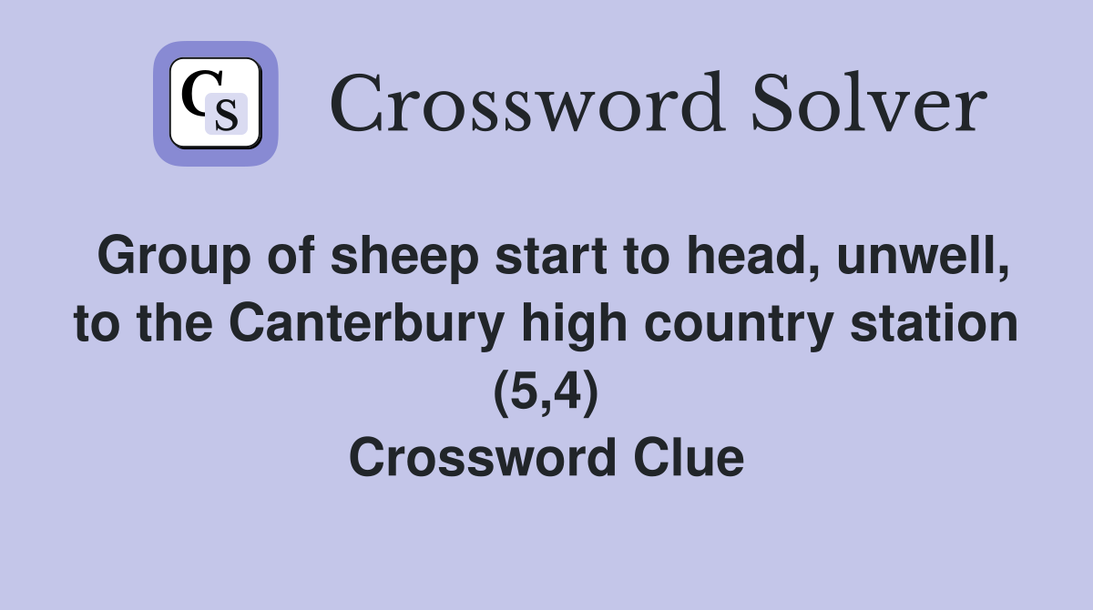 Group of sheep start to head, unwell, to the Canterbury high country station (5,4) Crossword Clue