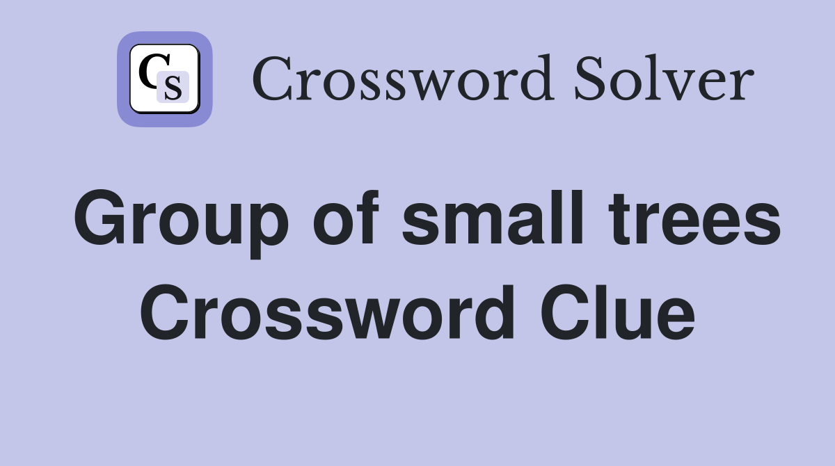 Group of small trees Crossword Clue