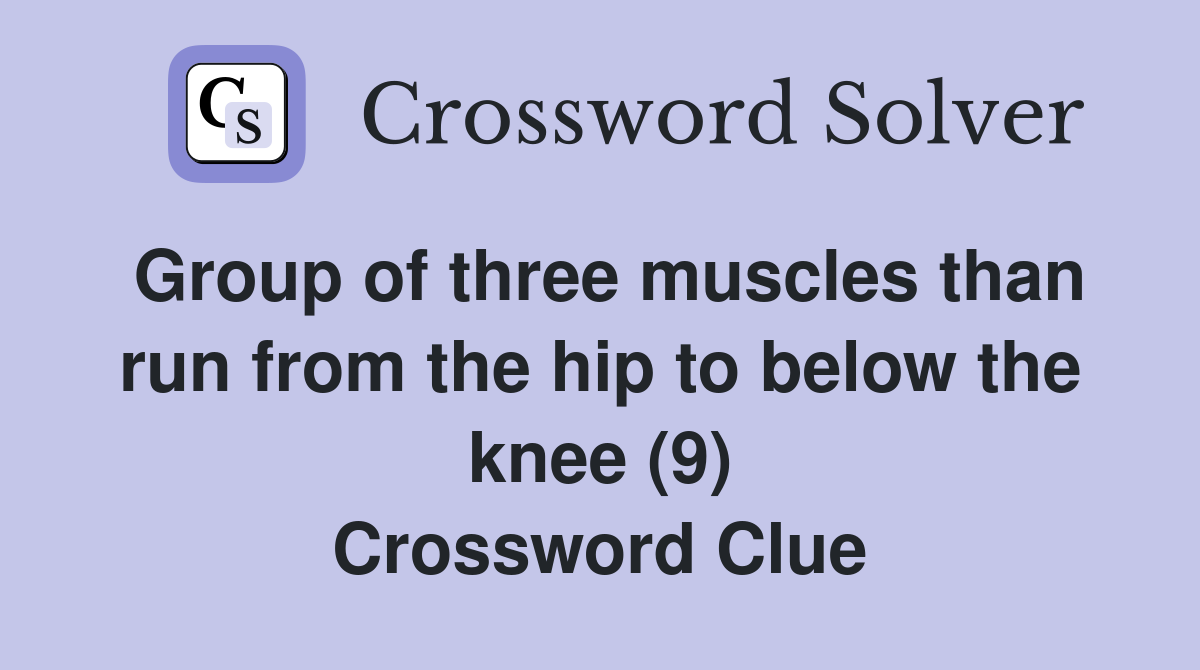 Group of three muscles than run from the hip to below the knee (9) Crossword Clue