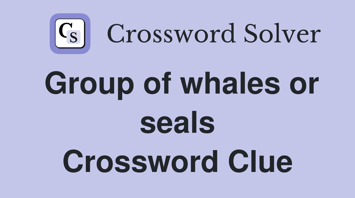 Group of whales or seals Crossword Clue