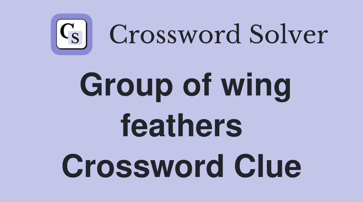 Group of wing feathers Crossword Clue